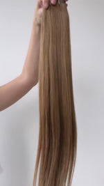 Chestnut Brown 
